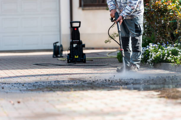 Best Roof Pressure Washing  in Antwerp, OH